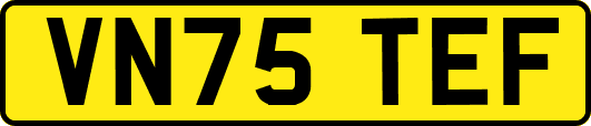 VN75TEF