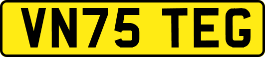 VN75TEG