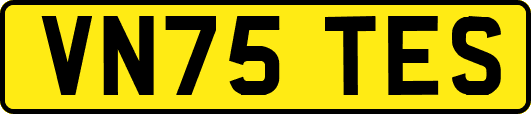 VN75TES