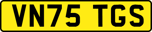 VN75TGS