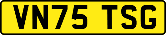 VN75TSG