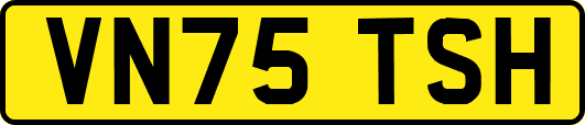 VN75TSH
