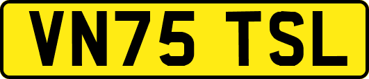 VN75TSL
