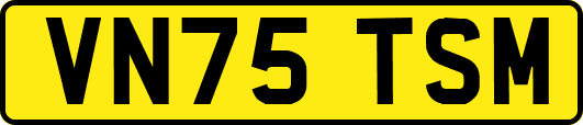 VN75TSM