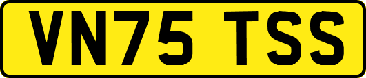 VN75TSS