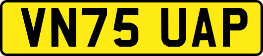VN75UAP
