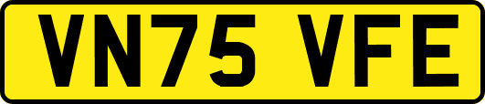 VN75VFE