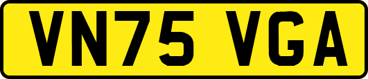 VN75VGA
