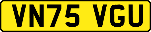 VN75VGU