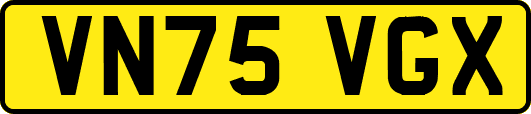 VN75VGX