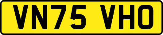 VN75VHO