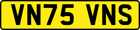 VN75VNS