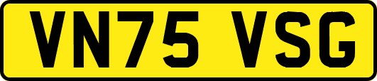 VN75VSG
