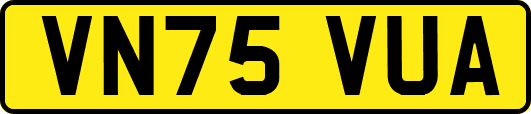 VN75VUA