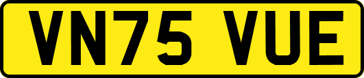 VN75VUE