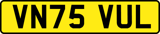 VN75VUL