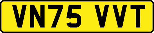 VN75VVT