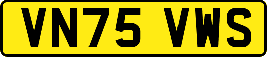VN75VWS