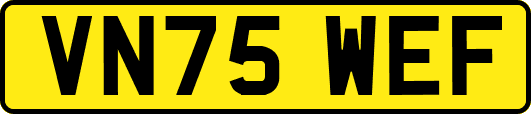 VN75WEF