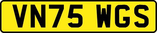 VN75WGS