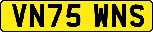 VN75WNS