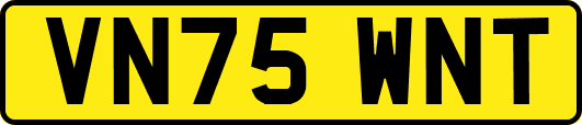 VN75WNT