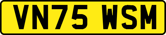 VN75WSM
