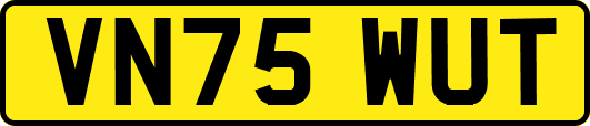 VN75WUT