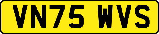 VN75WVS