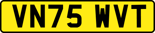 VN75WVT
