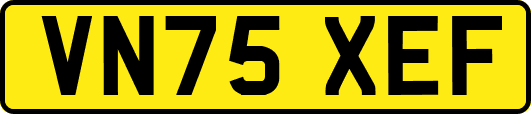 VN75XEF