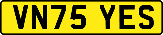 VN75YES