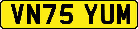 VN75YUM