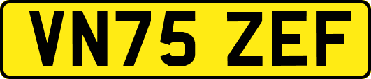VN75ZEF
