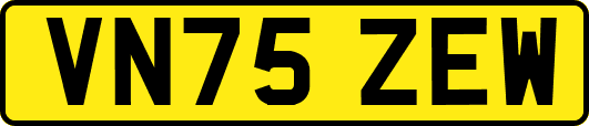 VN75ZEW