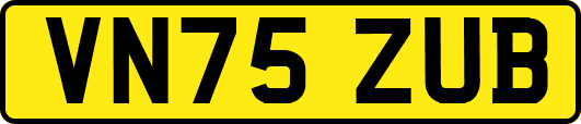 VN75ZUB