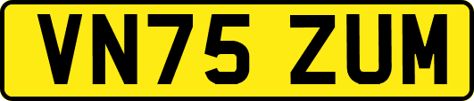VN75ZUM