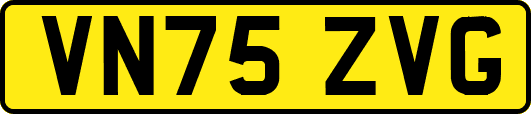 VN75ZVG