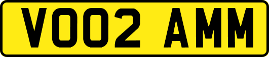 VO02AMM