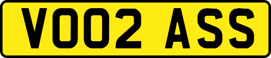 VO02ASS