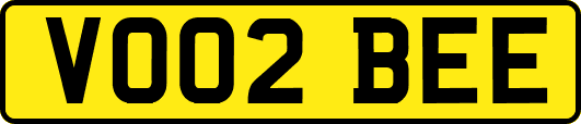 VO02BEE