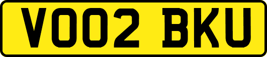 VO02BKU