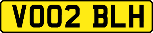 VO02BLH