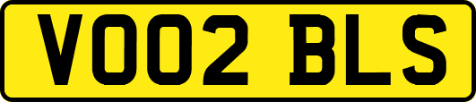 VO02BLS