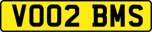 VO02BMS