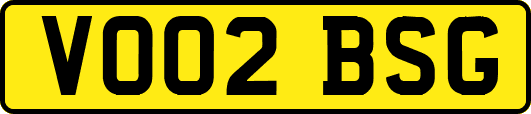 VO02BSG