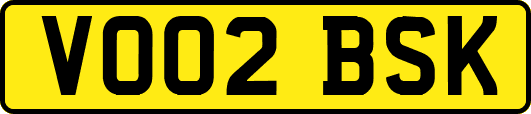 VO02BSK