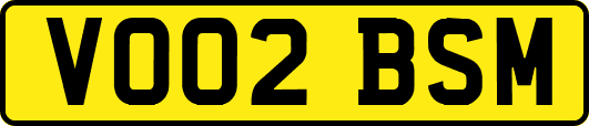 VO02BSM