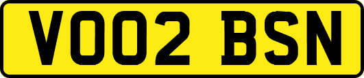 VO02BSN