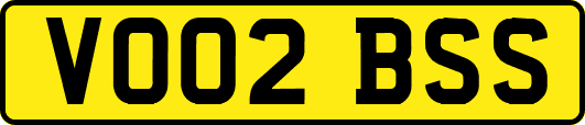 VO02BSS
